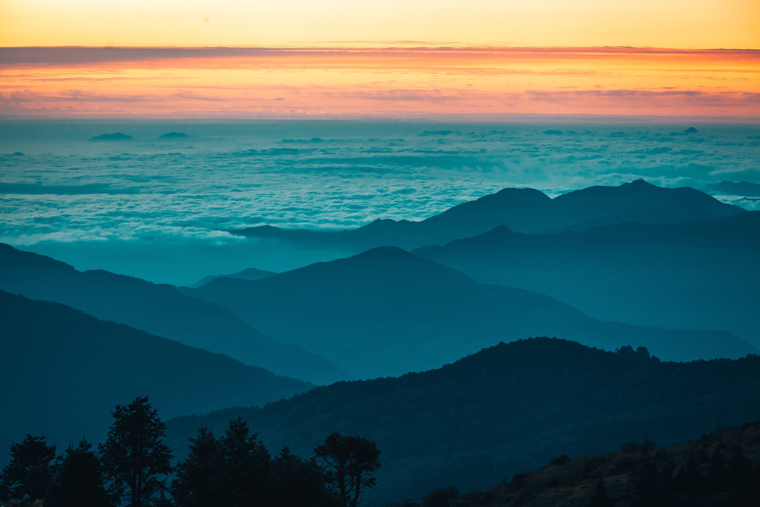 landscape1