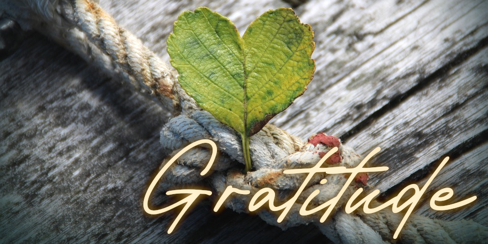 November: A Month for Business Leaders to Celebrate Gratitude