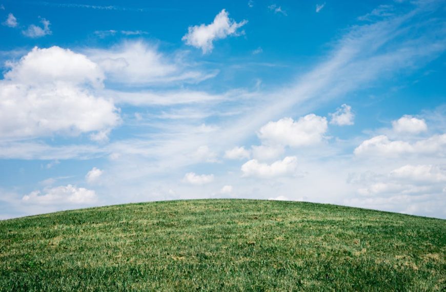Drive Green Eco-Friendly Driving Tips